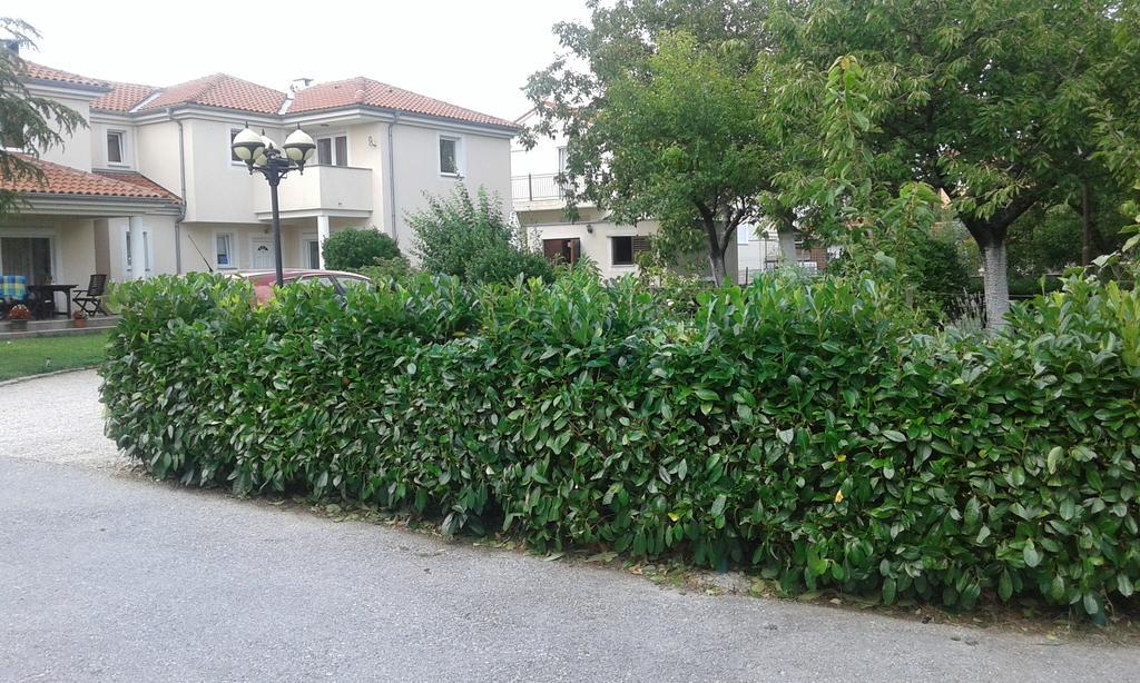 Apartment Casa Eni Drazice 外观 照片